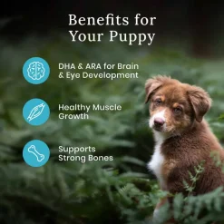 Fashion Blue Buffalo BLUE Wilderness Blue Buffalo Nature's Evolutionary Diet Wilderness Chicken Puppy Dry Dog Food