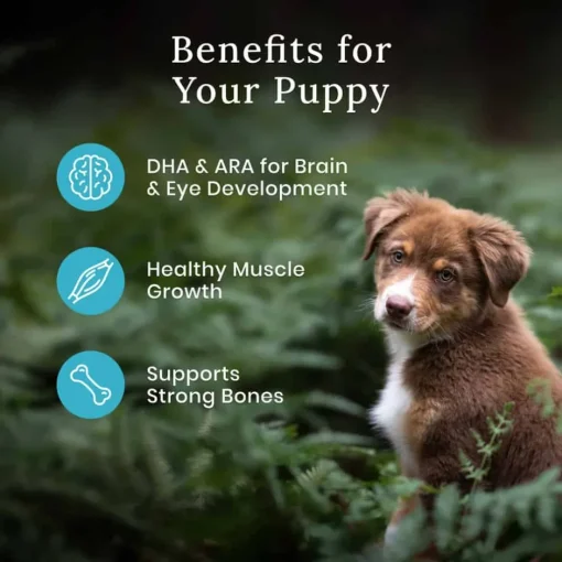 Fashion Blue Buffalo BLUE Wilderness Blue Buffalo Nature's Evolutionary Diet Wilderness Chicken Puppy Dry Dog Food