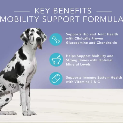 Online Blue Buffalo BLUE True Solutions Blue Buffalo True Solutions Jolly Joints Mobility Support Formula Adult Canned Dog Food