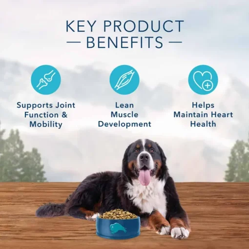 Hot Blue Buffalo BLUE Wilderness Blue Buffalo Wilderness Adult Large Breed Chicken Dry Dog Food