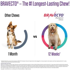 Best Bravecto - Flea & Tick Prevention Chewable Tablet for Dogs