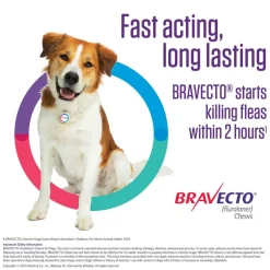 Best Bravecto - Flea & Tick Prevention Chewable Tablet for Dogs