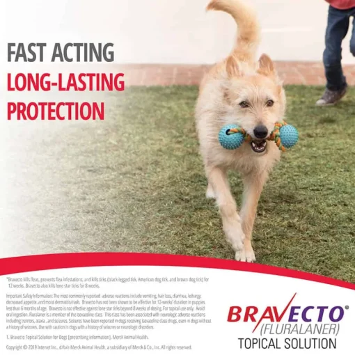 Outlet Bravecto Topical for Dogs