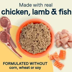 Sale Canidae All Life Stages Less Active Chicken, Lamb & Fish Formula Wet Dog Food