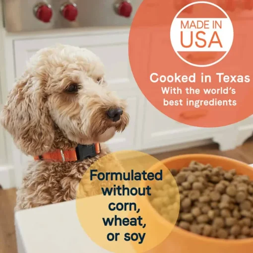 Best Canidae All Life Stages Multi-Protein Chicken, Turkey, & Lamb Meals Formula Dry Dog Food
