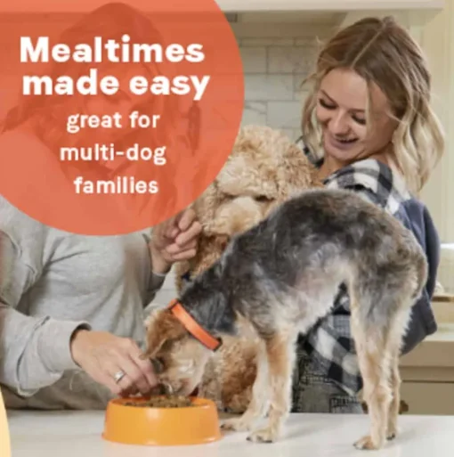 Best Canidae All Life Stages Multi-Protein Chicken, Turkey, & Lamb Meals Formula Dry Dog Food