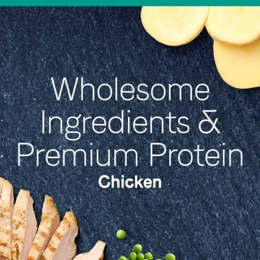 Outlet Canidae PURE Grain Free Chicken Recipe Dry Cat Food