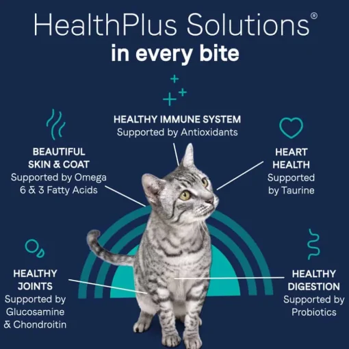 Outlet Canidae PURE Grain Free Chicken Recipe Dry Cat Food