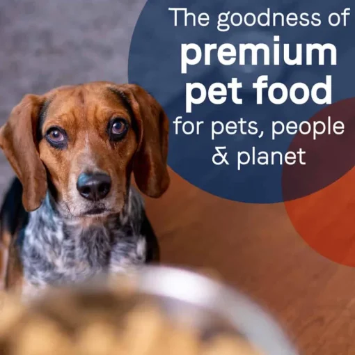 Hot Canidae PURE Grain Free Puppy Chicken Recipe Wet Dog Food