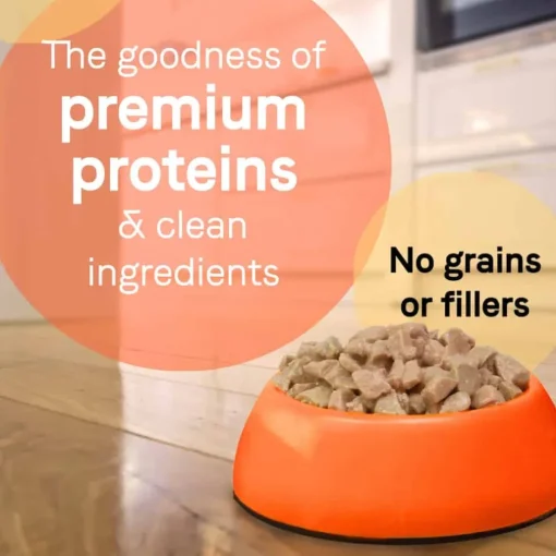 Sale Canidae PURE Petite Small Breed Grain Free Morsels Lamb & Carrots Wet Dog Food