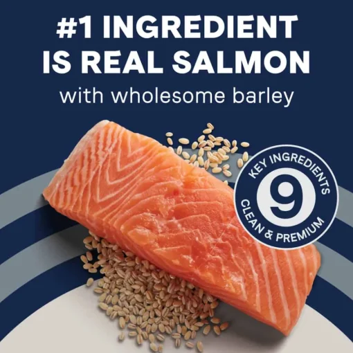 Best Canidae PURE Wholesome Grains Salmon & Barley Recipe Dry Dog Food