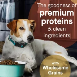 Best Canidae PURE Wholesome Grains Salmon & Barley Recipe Dry Dog Food