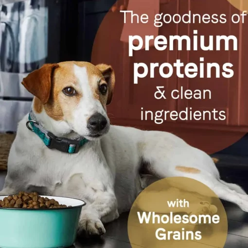 Best Canidae PURE Wholesome Grains Salmon & Barley Recipe Dry Dog Food