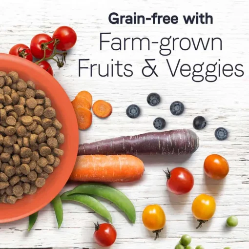 Fashion Canidae Under The Sun Grain Free Whitefish Recipe Dry Dog Food