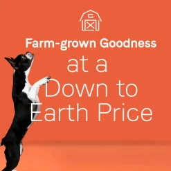Fashion Canidae Under The Sun Grain Free Whitefish Recipe Dry Dog Food
