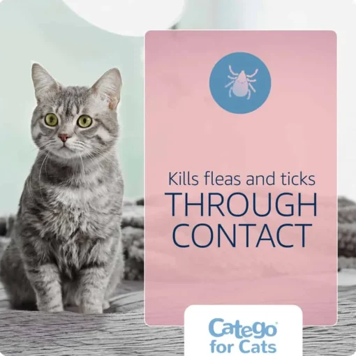 Outlet Catego for Cats