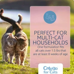 Outlet Catego for Cats