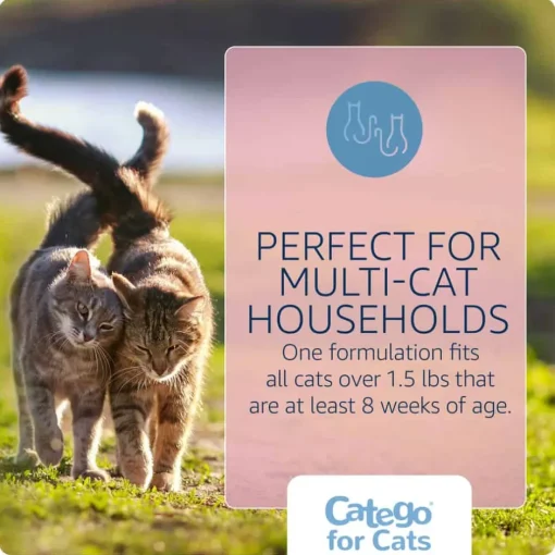 Outlet Catego for Cats
