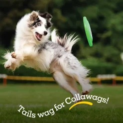 New Collawags Large Bones Beef Flavor