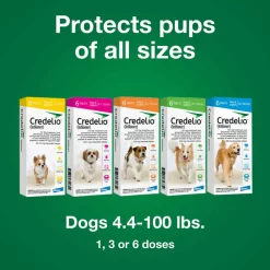 New Credelio - Flea & Tick Prevention Chewable Tablet for Dogs