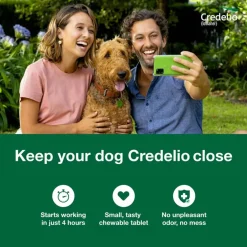 New Credelio - Flea & Tick Prevention Chewable Tablet for Dogs