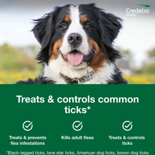 New Credelio - Flea & Tick Prevention Chewable Tablet for Dogs