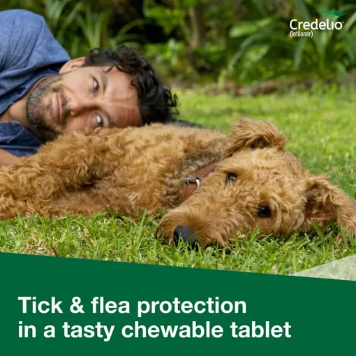 New Credelio - Flea & Tick Prevention Chewable Tablet for Dogs