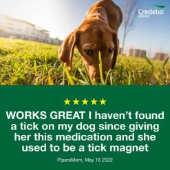 New Credelio - Flea & Tick Prevention Chewable Tablet for Dogs