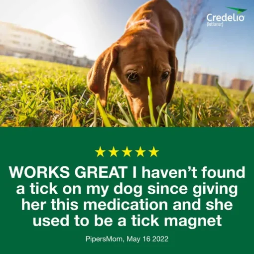 New Credelio - Flea & Tick Prevention Chewable Tablet for Dogs