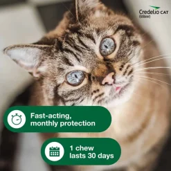 New Credelio for Cats