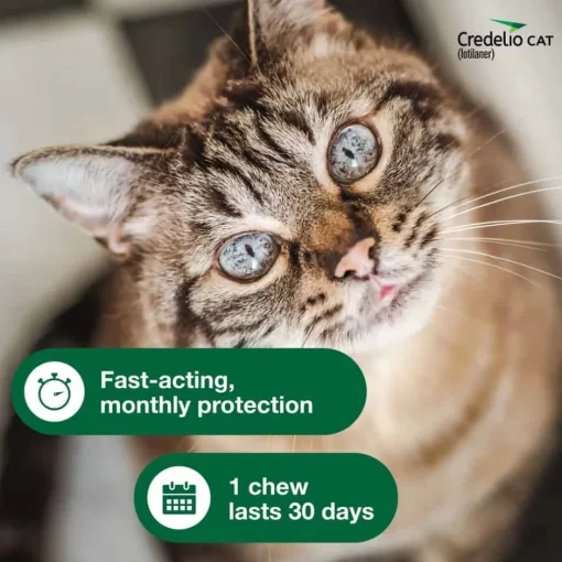 New Credelio for Cats