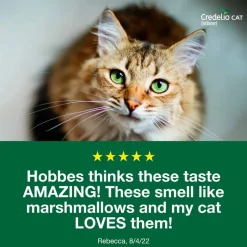 New Credelio for Cats
