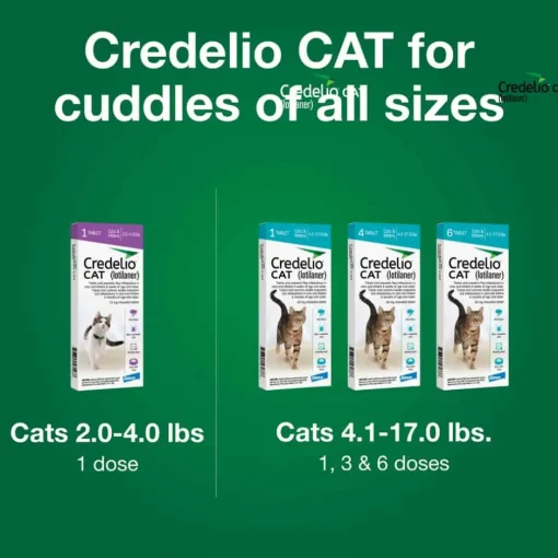New Credelio for Cats