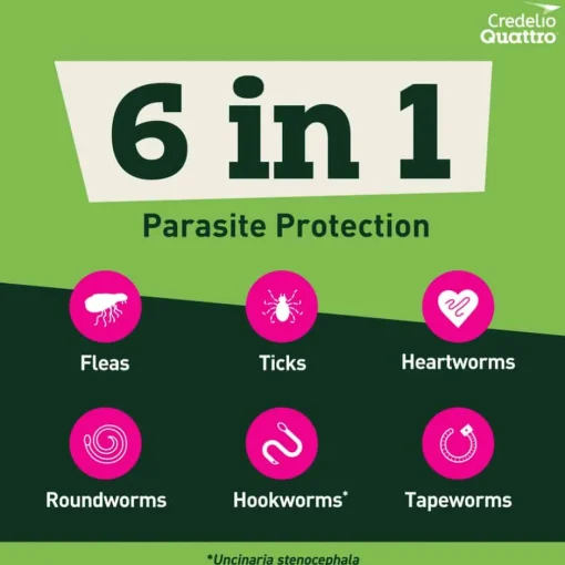 Online Credelio Quattro 6-in-1 Parasite Protection Chewable Tablet for Dogs