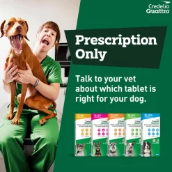Online Credelio Quattro 6-in-1 Parasite Protection Chewable Tablet for Dogs