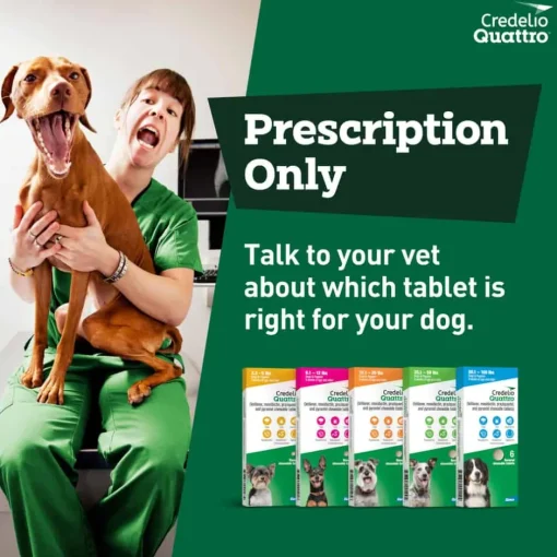 Online Credelio Quattro 6-in-1 Parasite Protection Chewable Tablet for Dogs
