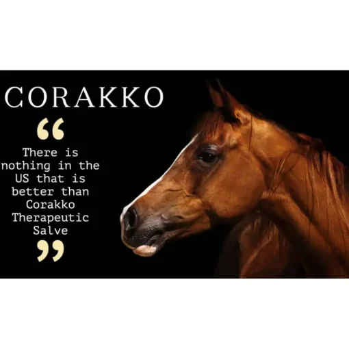 Sale Curry on a Stik Corakko Equine Shampoo