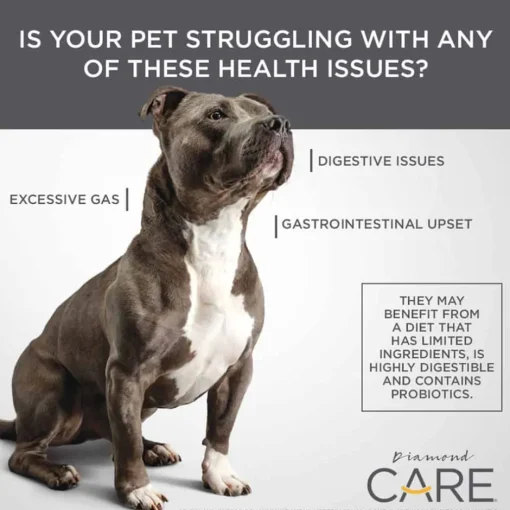 New Diamond Care Adult Sensitive Stomach Formula Dry Dog Food