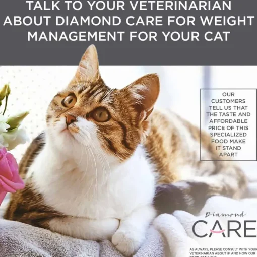 Sale Diamond Care Adult Weight Management Formula Dry Cat Food