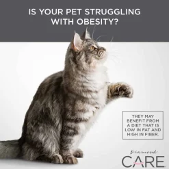Sale Diamond Care Adult Weight Management Formula Dry Cat Food