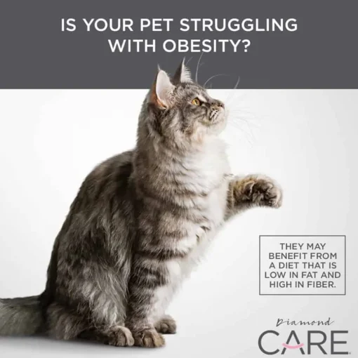 Sale Diamond Care Adult Weight Management Formula Dry Cat Food
