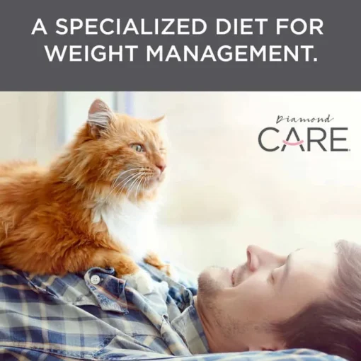 Sale Diamond Care Adult Weight Management Formula Dry Cat Food