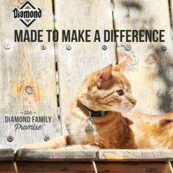 Online Diamond Maintenance Formula Adult Dry Cat Food