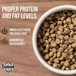 Online Diamond Maintenance Formula Adult Dry Cat Food