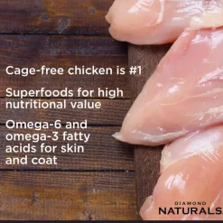 Best Diamond Naturals All Life Stages Chicken & Rice Formula Dry Dog Food