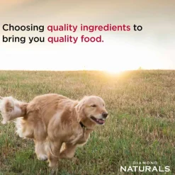 Best Diamond Naturals All Life Stages Chicken & Rice Formula Dry Dog Food