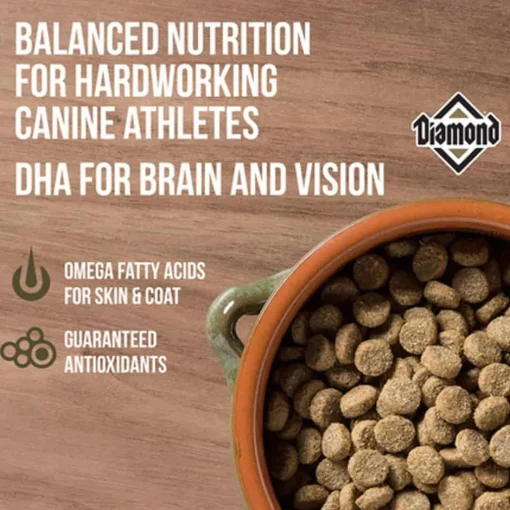 Best Diamond Performance Formula Dry Dog Food