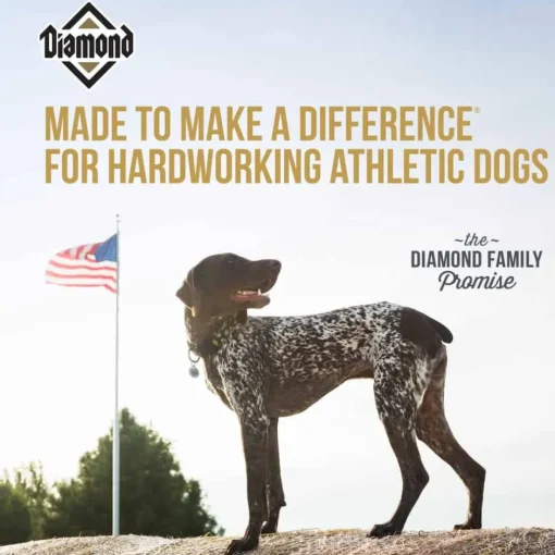 Best Diamond Performance Formula Dry Dog Food