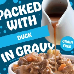 Discount Earthborn Holistic Duke's Din Din Stew Grain Free Wet Dog Food