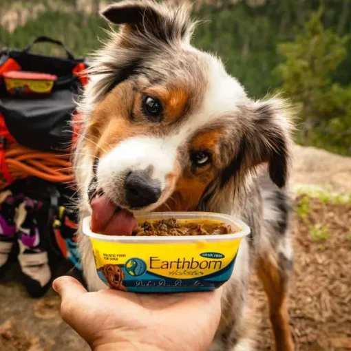 Discount Earthborn Holistic Duke's Din Din Stew Grain Free Wet Dog Food